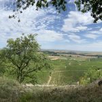 Escalade-en-falaise-vue-du-haut-de-la-falaise